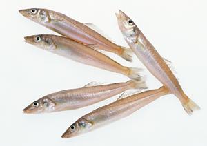 びらとり和牛を販売している札幌市の焼肉店ＧＡＴＥ